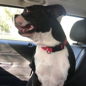 Meet your Posher, Heather